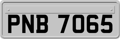 PNB7065