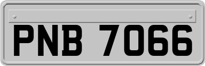 PNB7066