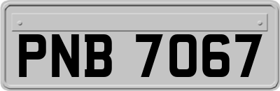 PNB7067