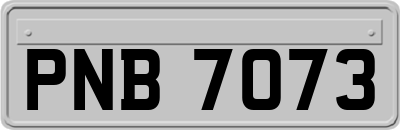 PNB7073