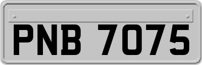 PNB7075