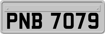 PNB7079