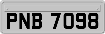 PNB7098