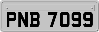 PNB7099