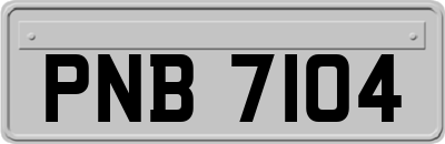 PNB7104