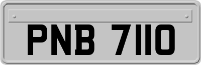 PNB7110