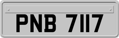 PNB7117