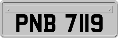 PNB7119