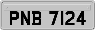 PNB7124
