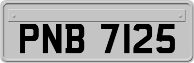 PNB7125