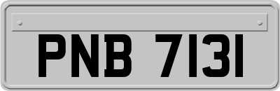 PNB7131