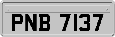 PNB7137