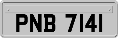 PNB7141