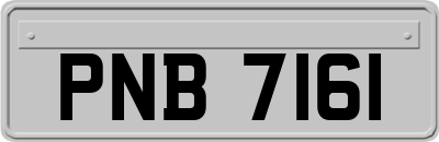 PNB7161