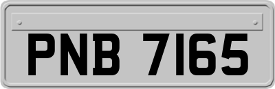 PNB7165