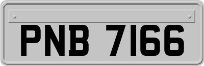 PNB7166