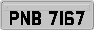 PNB7167