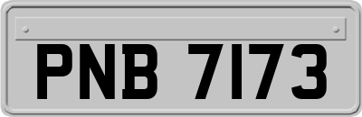 PNB7173