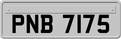 PNB7175