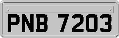 PNB7203