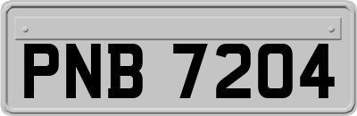 PNB7204