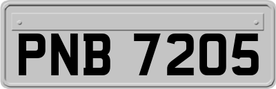 PNB7205