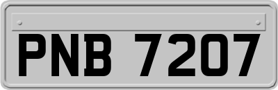 PNB7207