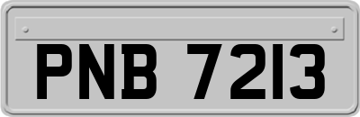PNB7213