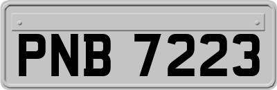 PNB7223
