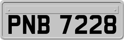 PNB7228