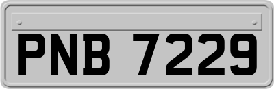 PNB7229