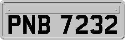 PNB7232