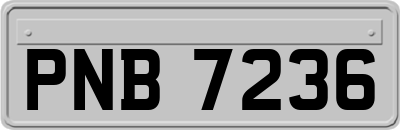 PNB7236