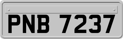 PNB7237