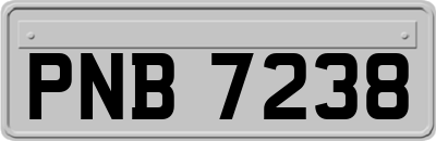 PNB7238