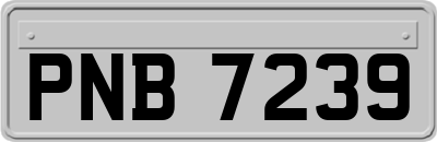 PNB7239
