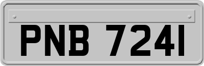 PNB7241