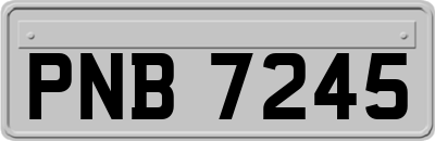 PNB7245