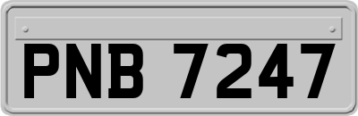 PNB7247