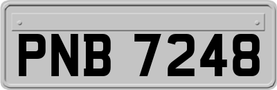 PNB7248