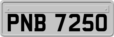 PNB7250