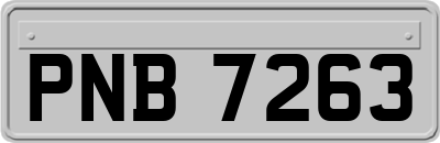 PNB7263