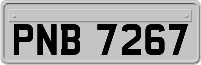 PNB7267