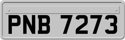 PNB7273