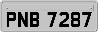 PNB7287