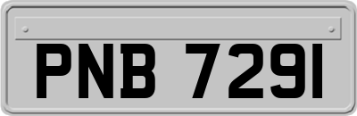 PNB7291