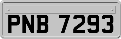 PNB7293