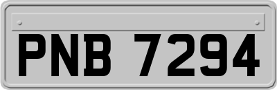 PNB7294