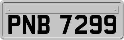 PNB7299