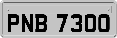 PNB7300